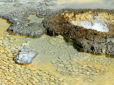 yellowstone photo