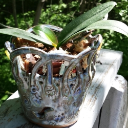  pottery in use by debra griffin dag